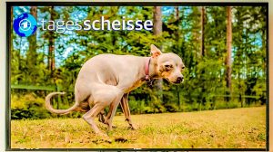 schau niemals Tagesschau